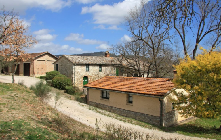 Stone buildings along the estate driveway
