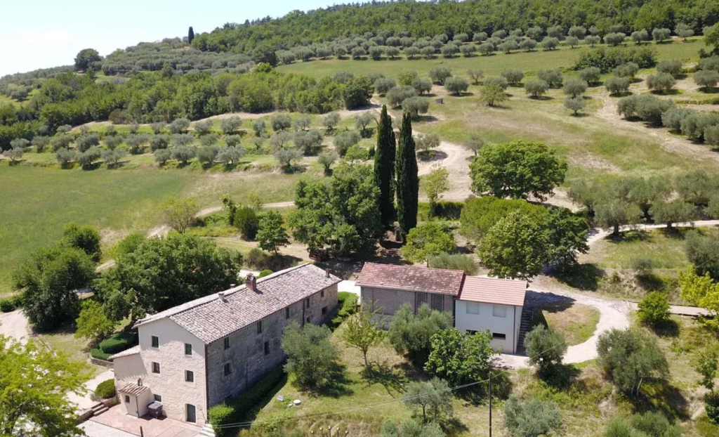 Aerial view of the buildings among the olive trees