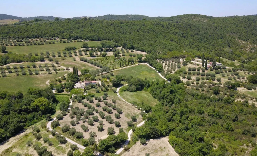 Aerial view of the olive groves and woods around the estate