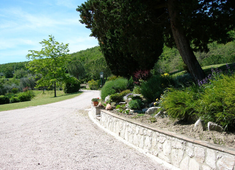 Driveway to the estate along the garden with flowering shrubs