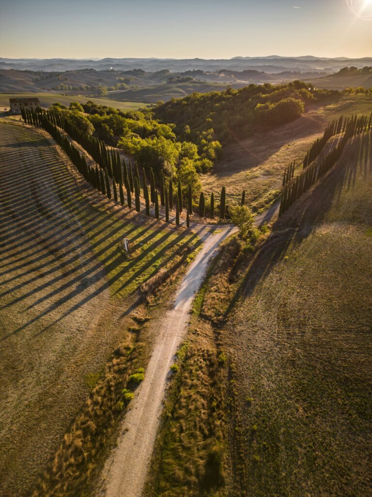 Road through the Umbrian hills