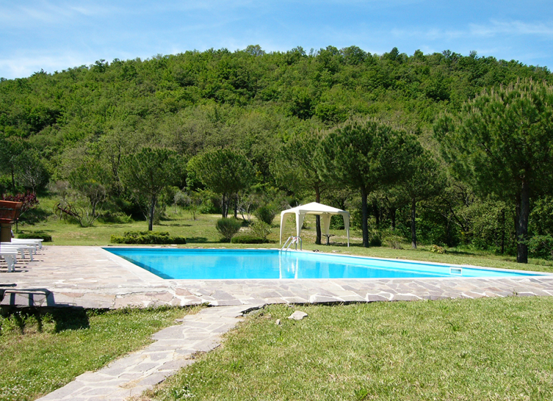 Stay Swimming pool with parasol among the trees