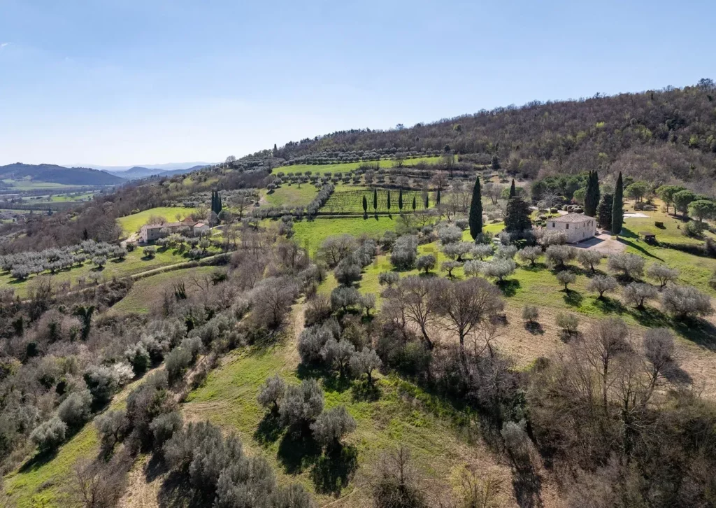 Aerial view of the Casa Tre Pettirossi estate with olive groves and woodlands in the hills near Corciano, Umbria