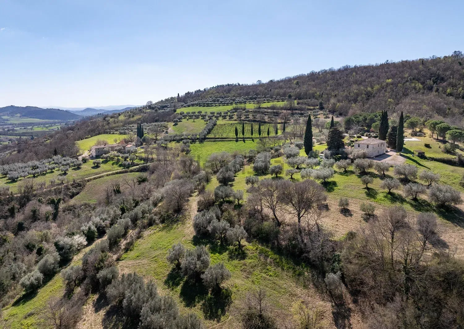 Stay Aerial view of the estate with olive groves and woodland in the hills