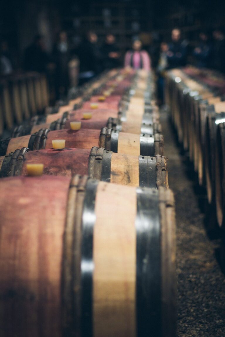 Wooden wine barrels lined up in a wine cellar