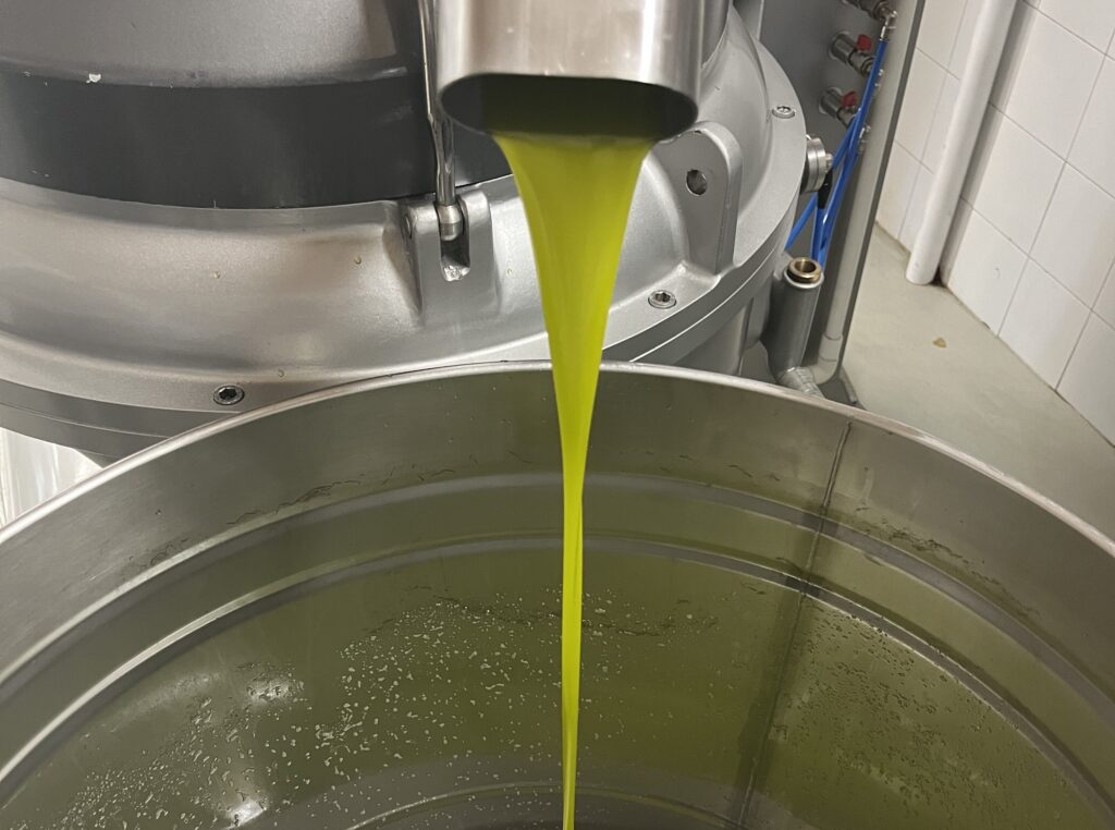 fresh olive oil frantoio cold pressed