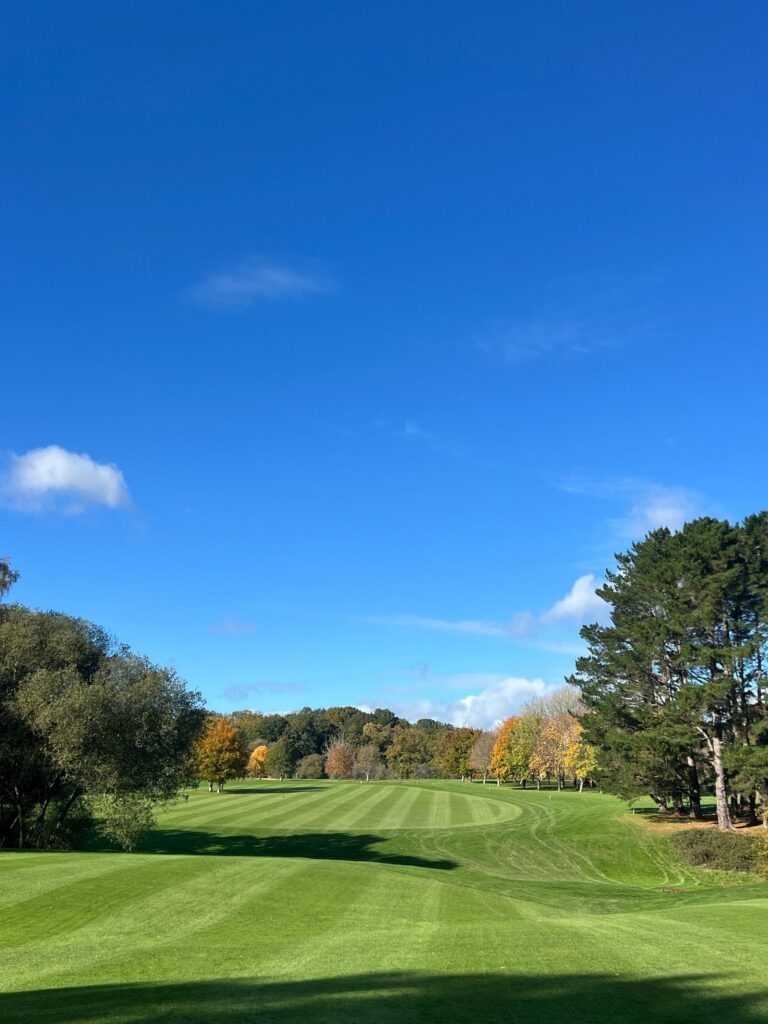 Fairway with trees under a blue sky